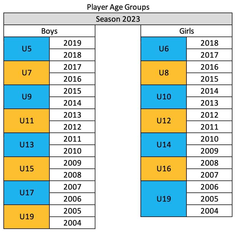 player-age-groups